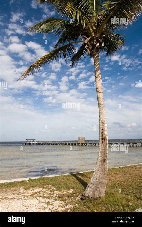 USA, Florida, Pine Island (Bokeelia): Bokeelia Pier Stock Photo - Alamy