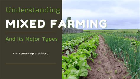 Understanding Mixed Farming and Its Major Types