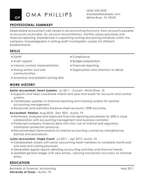 Professional Accounting Resume Sample