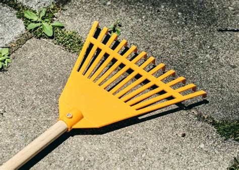 17 Types Of Rakes (Uses & Pictures)