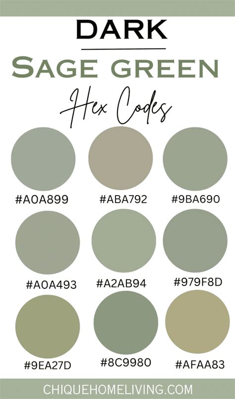 Sage Green Color Codes and Paint Colors