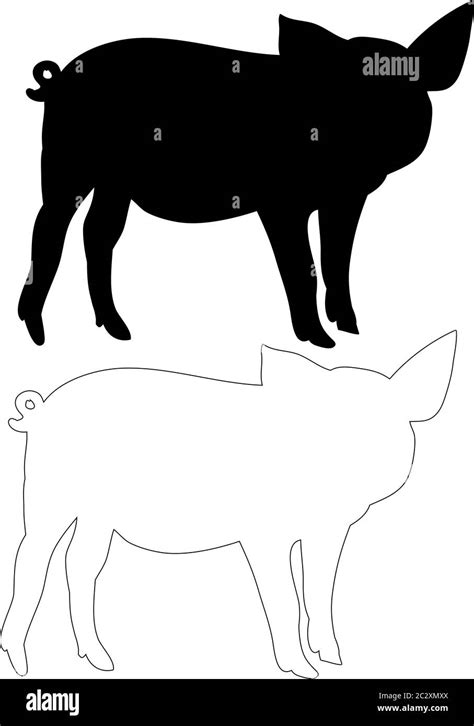 silhouette of a pig, isolated, outline Stock Vector Image & Art - Alamy