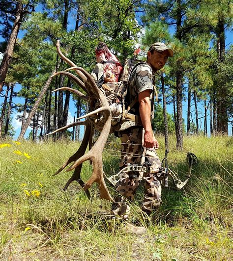 New Mexico Archery Elk Hunts - Triple C Outfitters