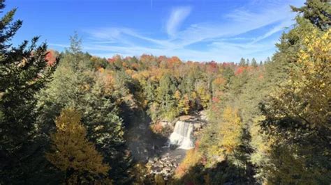 10 Best Hikes and Trails in Blackwater Falls State Park | AllTrails