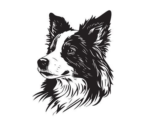 border collie Face, Silhouette Dog Face, black and white border collie vector 22924379 Vector ...