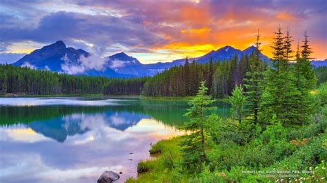 Herbert Lake, Banff National Park, Alberta | Banff national park, Banff national park canada ...