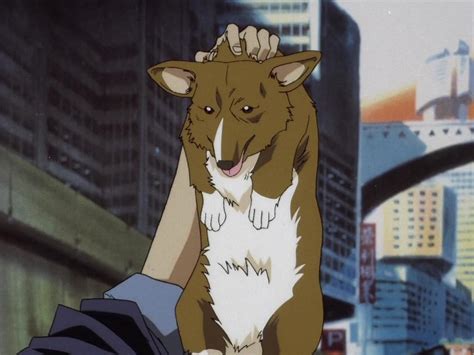 Cowboy Bebop Dog Wallpapers - Top Free Cowboy Bebop Dog Backgrounds - WallpaperAccess