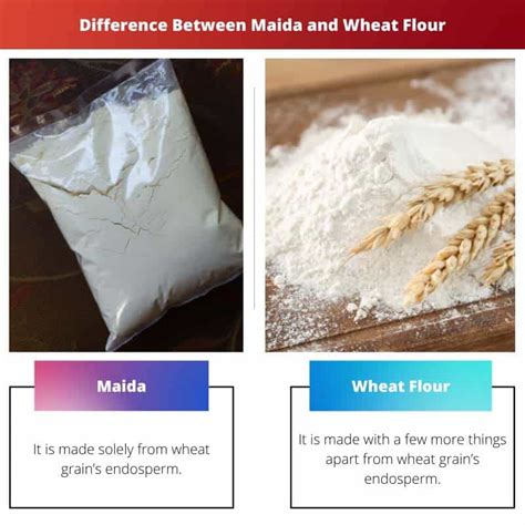 Maida vs Wheat Flour: Difference and Comparison