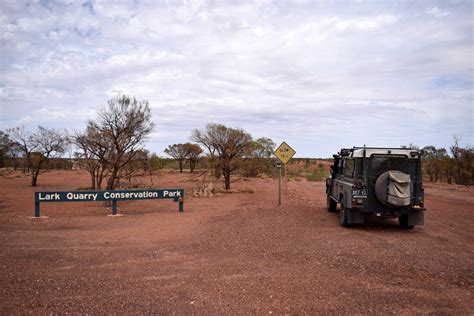 Lark Quarry Dinosaur Stampede - Roaming The Outback