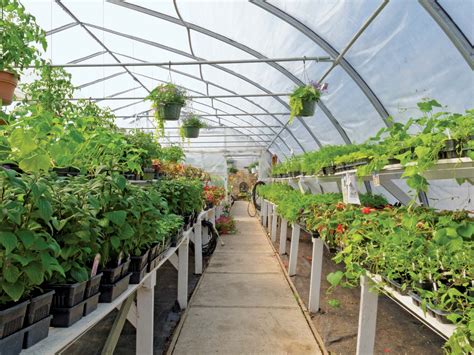 How Horticulture is turning the tables In Agriculture. - The Agrotech Daily