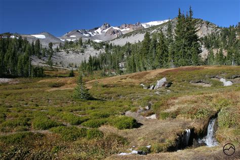 Mt. Shasta hiking trail South Gate, Mount Shasta, Squaw, Mountaineering, Hiking Trails, Meadow ...