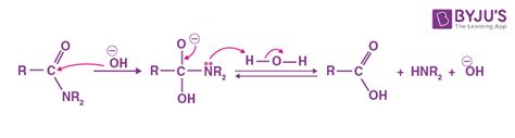 Amide Hydrolysis: Introduction and Types of Amide Hydrolysis