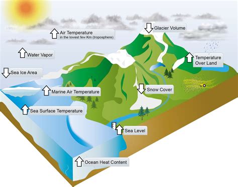 Human contribution to climate change