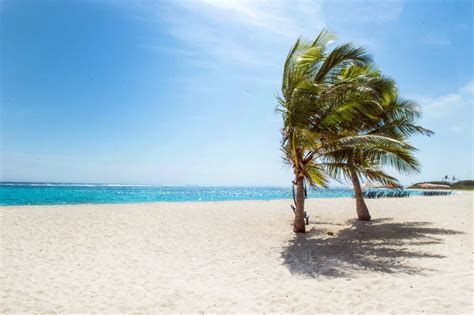 Long Island Bahamas Beach - WONDERLUST