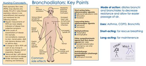 Bronchodilators: Uses, Side Effects, and Types