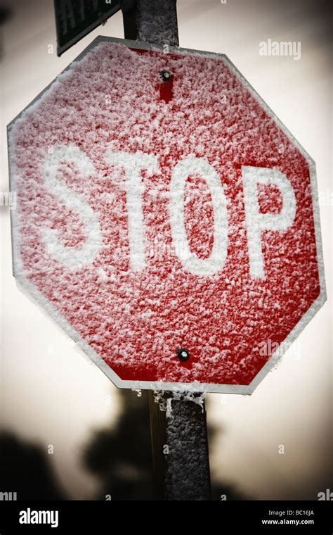 Snow covered stop sign Stock Photo - Alamy