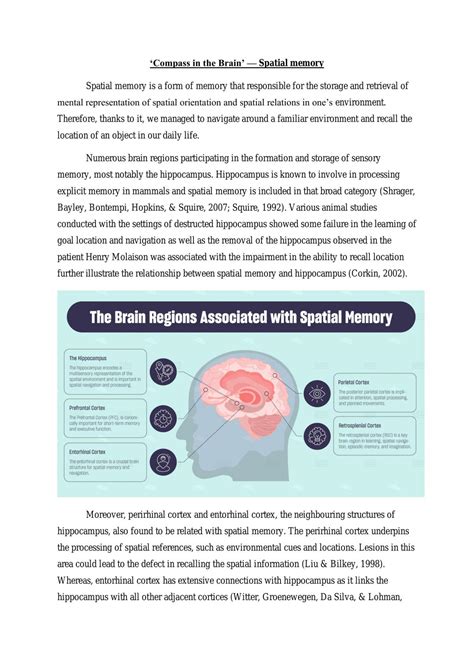 Spatial memory | MIC4007 - Neuroscience - UM | Thinkswap