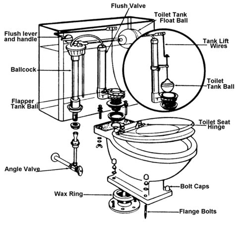 Install toilet tank bolts diagram - sasmark