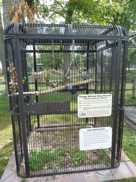 African Grey Parrot Cage - ZooChat