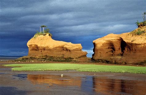 A Guide to Hiking in Fundy National Park (Everything You Need To Know)