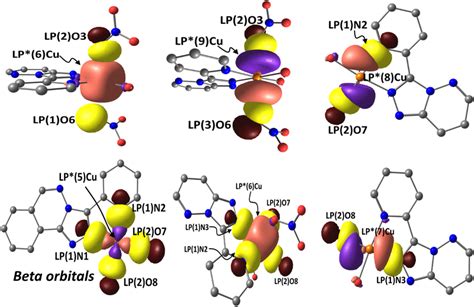 The orbital–orbital interactions shared in the Cu‐N and Cu‐O bonds of... | Download Scientific ...