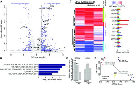 RNA-Seq Differential Expression Analysis of DLG2 Overexpression ...