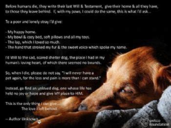 Short Prayer For Loss Of Pet / 24 Touching Pet Loss Poems To Find Comfort In Sympathy Card ...