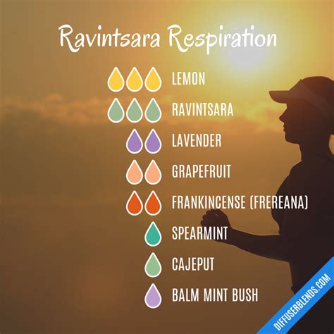 Ravintsara Respiration | DiffuserBlends.com