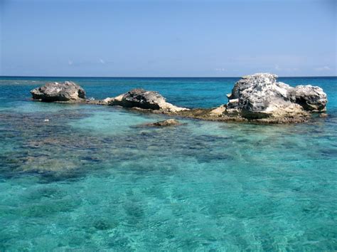 Snorkeling reefs in South Caicos! https://sailrockresort.com/experience ...