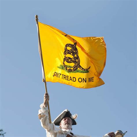 Embroidery Gadsden Flag for Sale | Don't Tread on Me Gadsden Flag