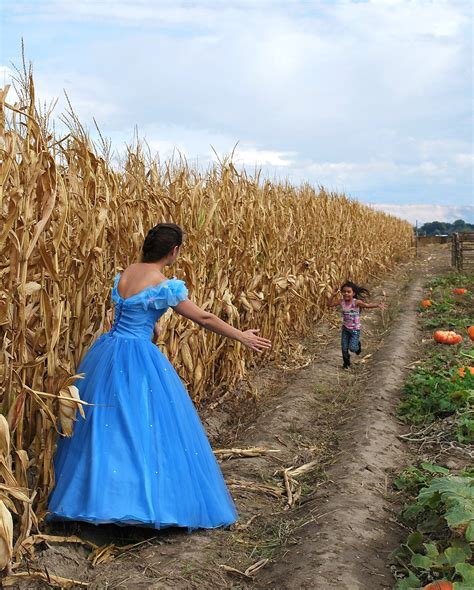 Studt's Pumpkin Patch and Corn Maze - Pumpkin Patch Near Me