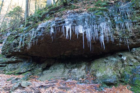 Bavarian Forest Winter