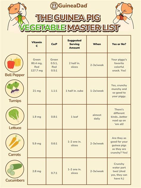 GuineaDad Vegetable Master List: What kinds of vegetables can guinea p ...