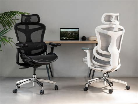 Take Care of Your Back with the SIHOO Doro-C300 Ergonomic Office Chair ...