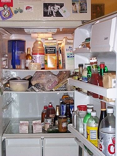 Refrigerator contents | Flickr - Photo Sharing!