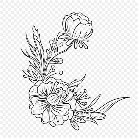 Flower Vector Material, Flower Drawing, Material Drawing, Flower Sketch ...