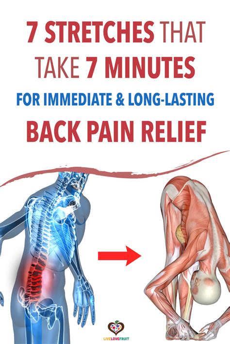 Do These 7 Stretches in Just 7 Minutes for Immediate and Long-Lasting Back Pain Relief - Live ...