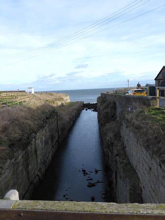 Seaton Sluice Beach - All You Need to Know BEFORE You Go - Updated 2020 ...