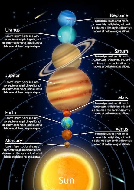 Premium Vector | Solar system planets in order from the sun vector ...