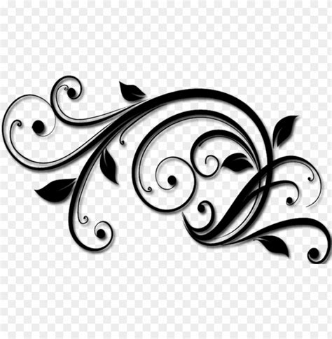 swirl vector PNG image with transparent background | TOPpng