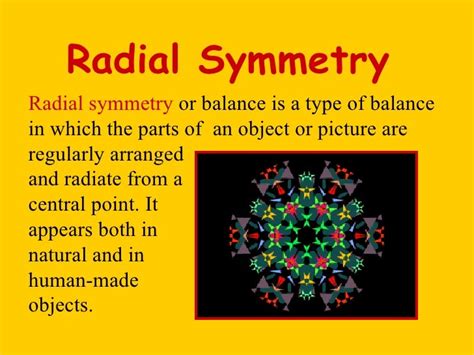 Radial Symmetry - Lessons - Tes Teach