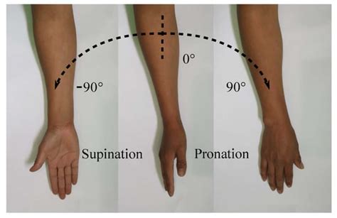 Applied Sciences | Free Full-Text | Adjustable Stiffness-Based ...