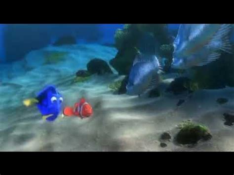 Finding Nemo: - Wait, wait, um-- - it's a swordfish! - YouTube