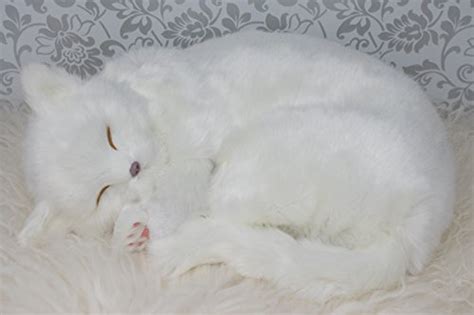 Realistic Sleeping Cat Puss Life Size Plush Fake Fur White Lifelike 12 ...