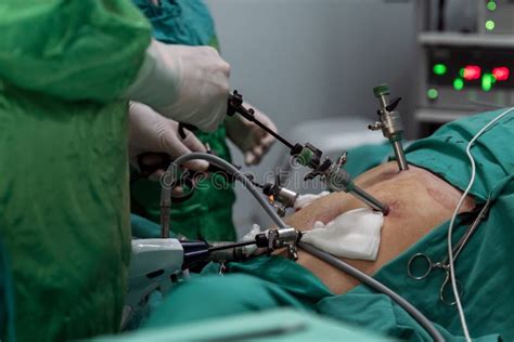 Dog Abdomen Surgery Bandage In Veterinary Clinic Stock Image - Image of ...