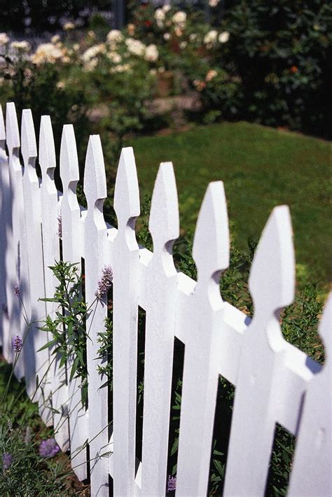 The Sunny Side of Life: 17. White Picket Fences