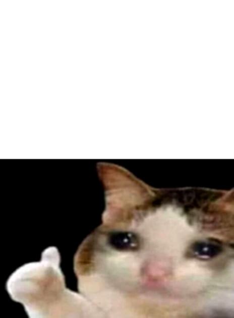 Sad cat thumbs up white spacing Blank Template - Imgflip