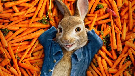 1600x900 Peter Rabbit 2018 Movie Poster 1600x900 Resolution Wallpaper, HD Movies 4K Wallpapers ...