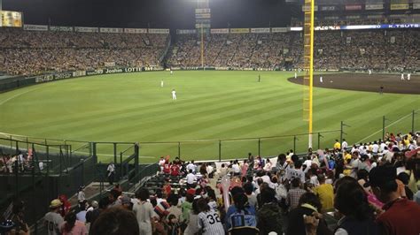 How to Experience Baseball in Japan | JAPAN and more