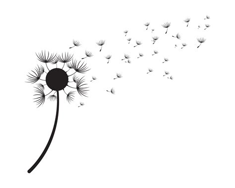 Dandelion vector illustration designs 579765 Vector Art at Vecteezy